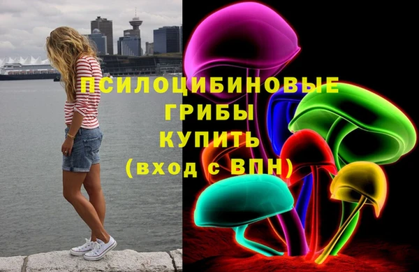 стаф Кукмор