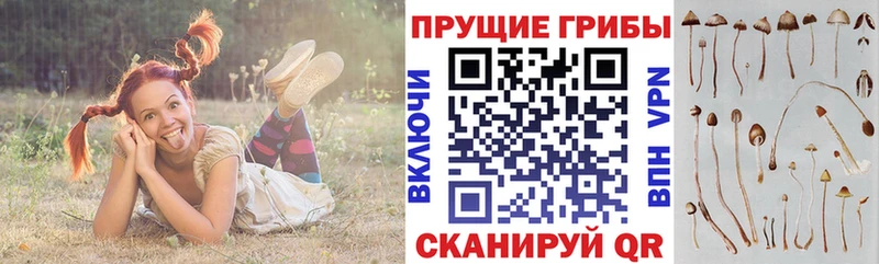 Псилоцибиновые грибы ЛСД  Минеральные Воды 